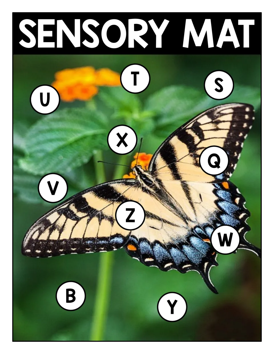 Swallowtail butterfly photo mat for capital letter matching with T, S, U, X, Q, V, Z, W, B and Y circled