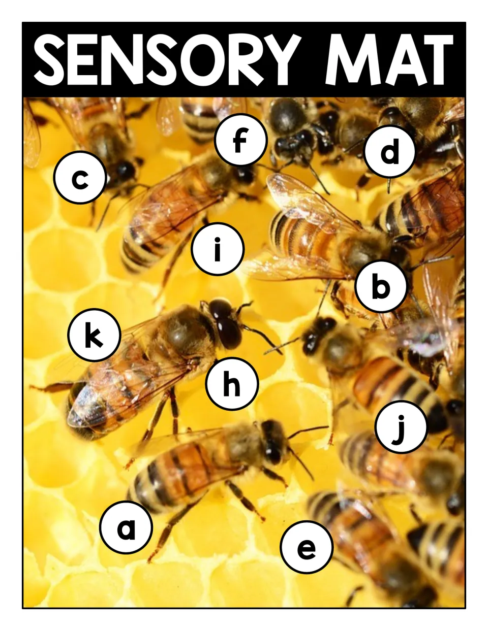 Lowercase letter recognition on a honeybees photo mat: students locate a, b, c, d, e, f, h, i, j and k in circles