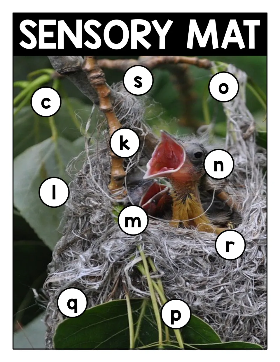 Baby birds in a nest photo mat for lowercase matching, with c, k, l, m, n, o, p, q, r and s circled