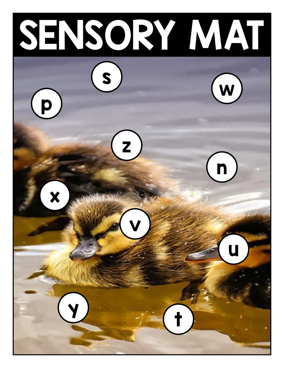 Ducklings swimming photo mat for lowercase letter matching: students find p, s, w, z, n, x, v, u, y and t