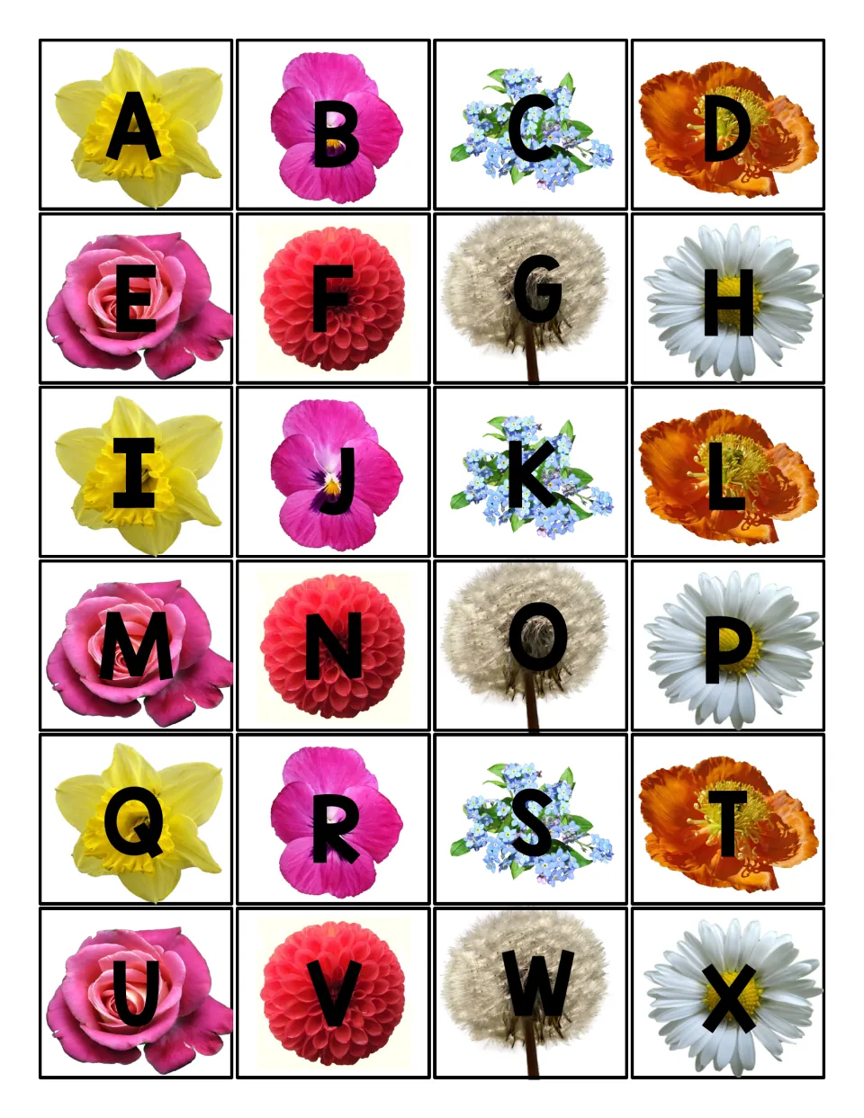 Uppercase letter cards A to X, each printed on a spring flower photo such as daffodil, pansy, rose, dahlia and daisy