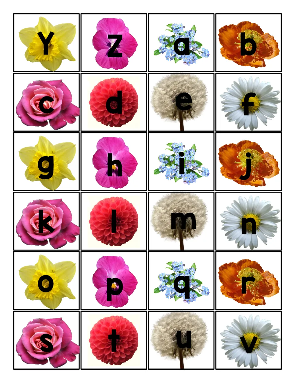 Letter cards Y, Z and lowercase a to v on flower photos including daffodil, poppy, dandelion seed head and daisy
