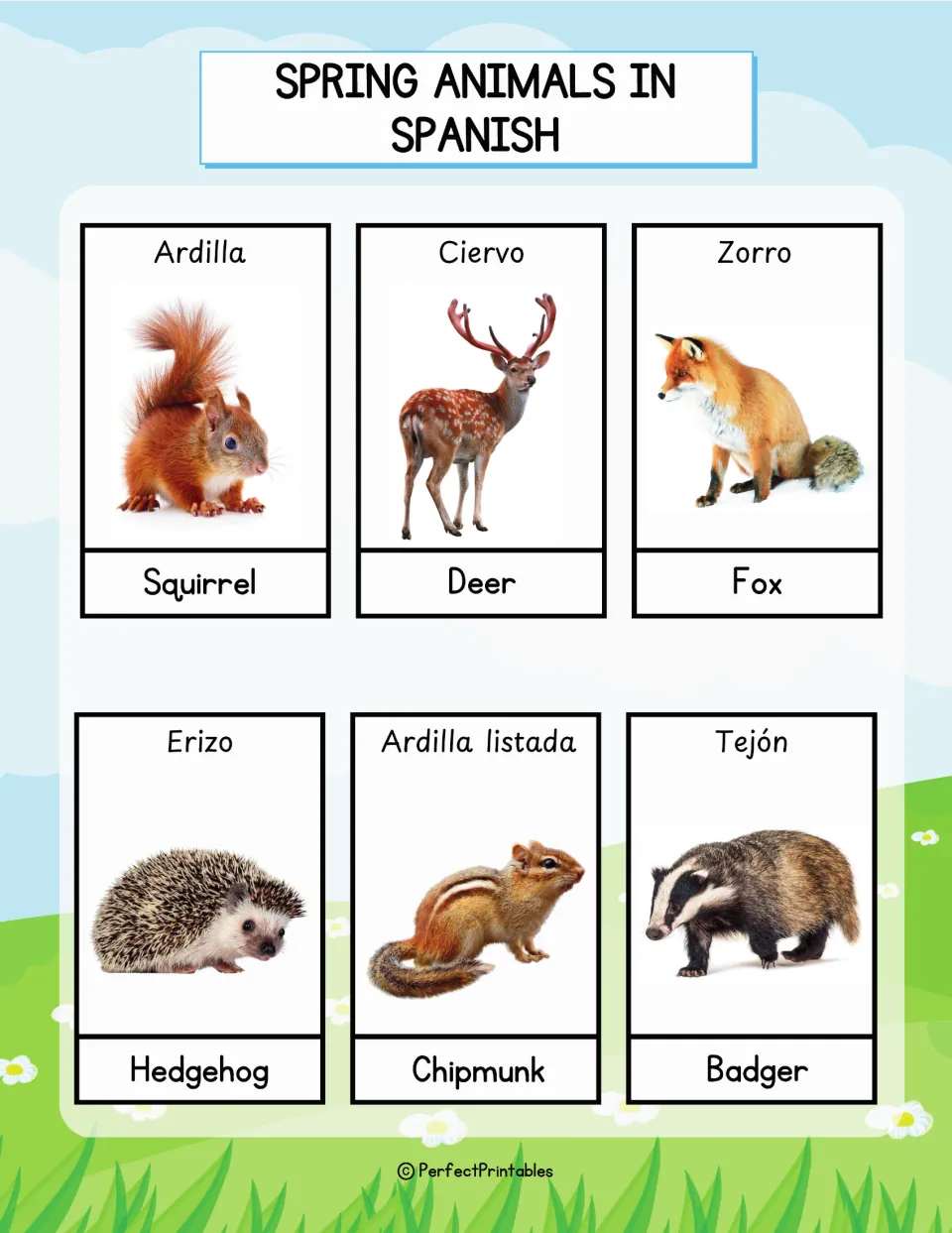 Spanish woodland animal cards: ardilla, ciervo, zorro, erizo, ardilla listada and tejón, each with a photo and English name