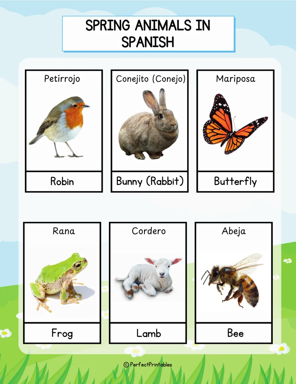 Spanish spring animal cards: petirrojo, conejito, mariposa, rana, cordero and abeja with photos and English words below