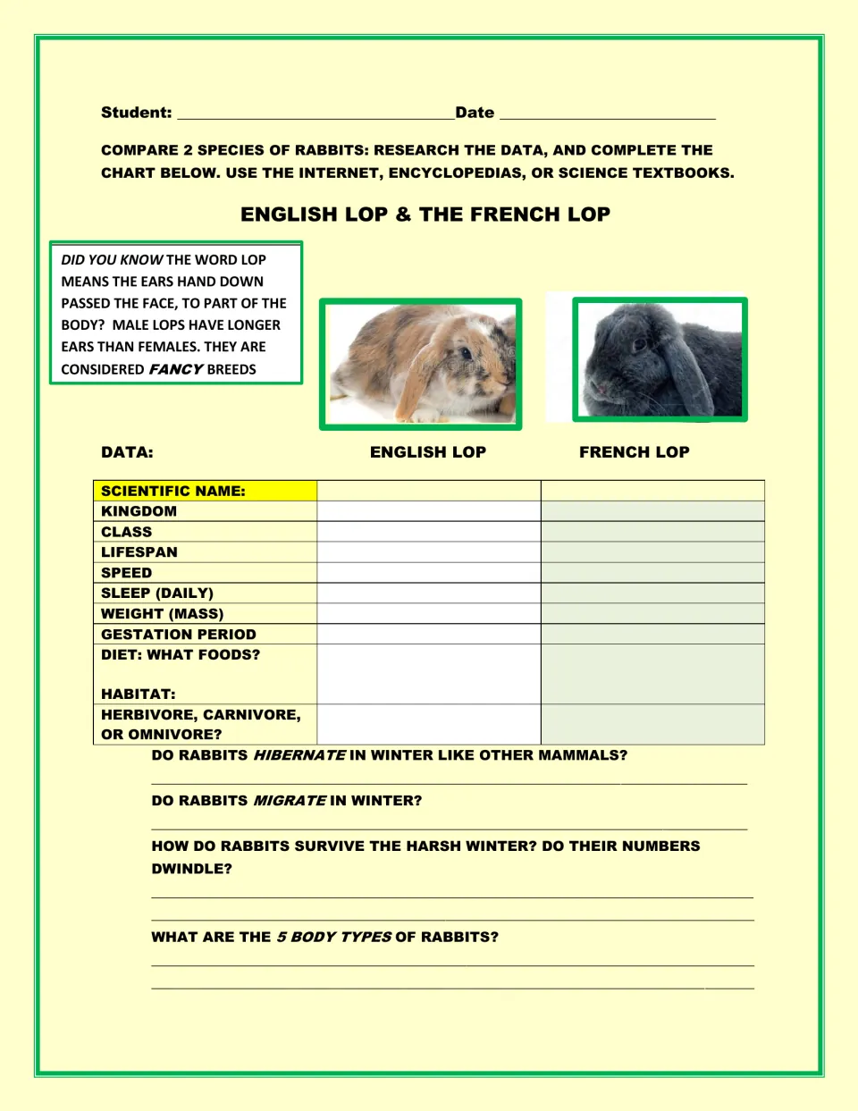 English Lop vs French Lop: students research and compare lifespan, diet, habitat and more, then answer winter questions