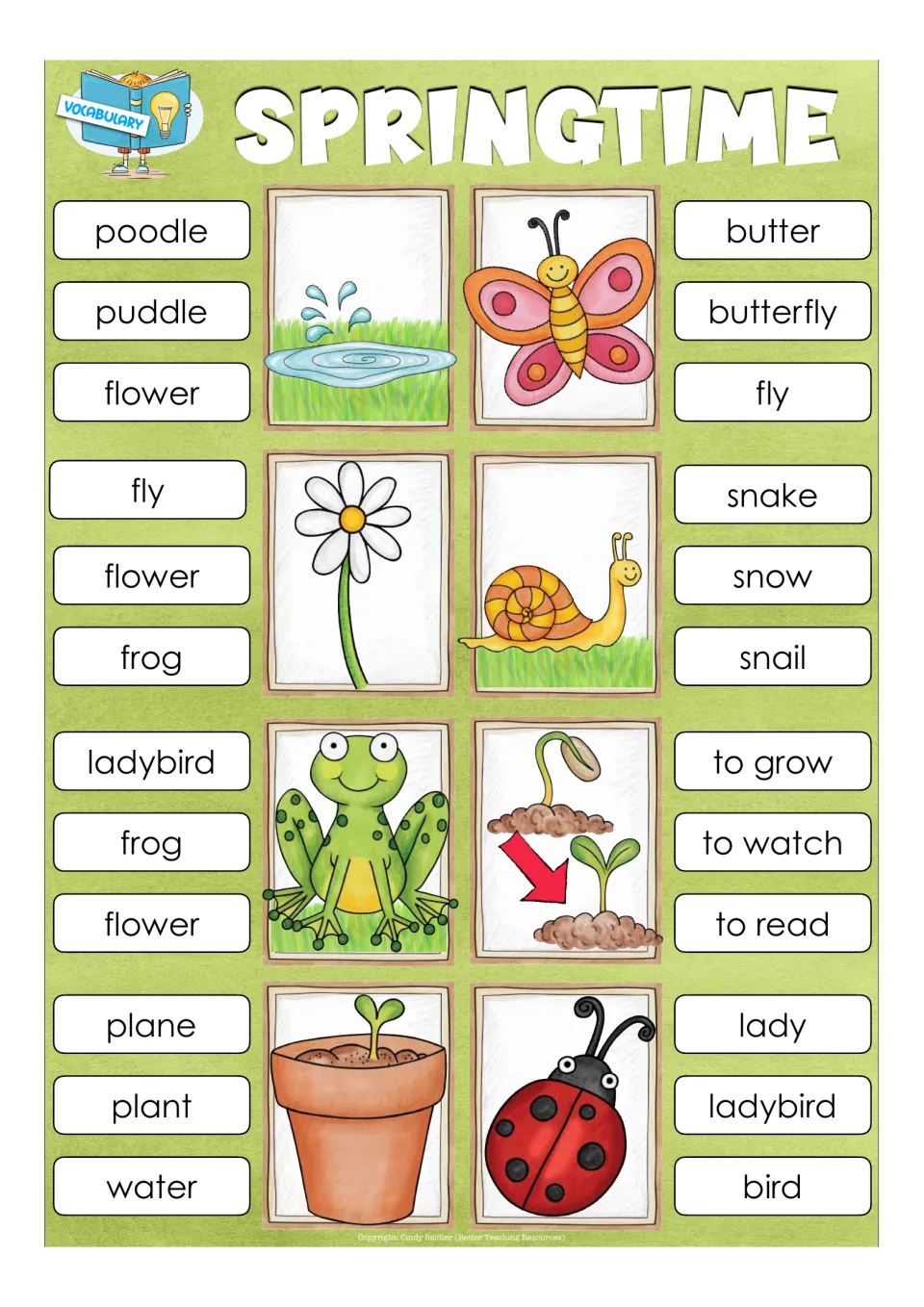 Springtime vocabulary cards: students choose the right word for a puddle, butterfly, flower, snail, plant and ladybird