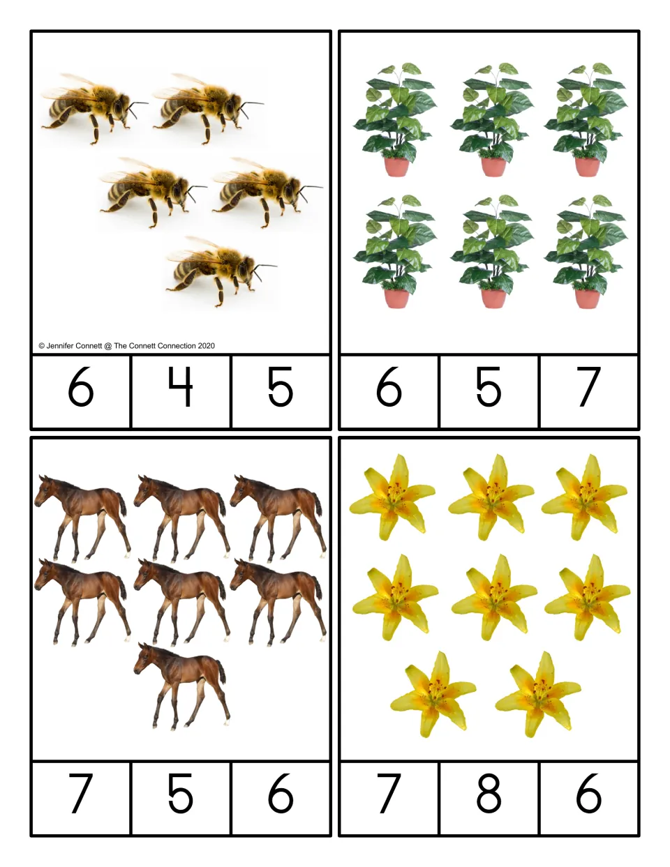 Counting 5 to 8 clip cards: students count bees, potted plants, foals and yellow lilies and clip the matching number