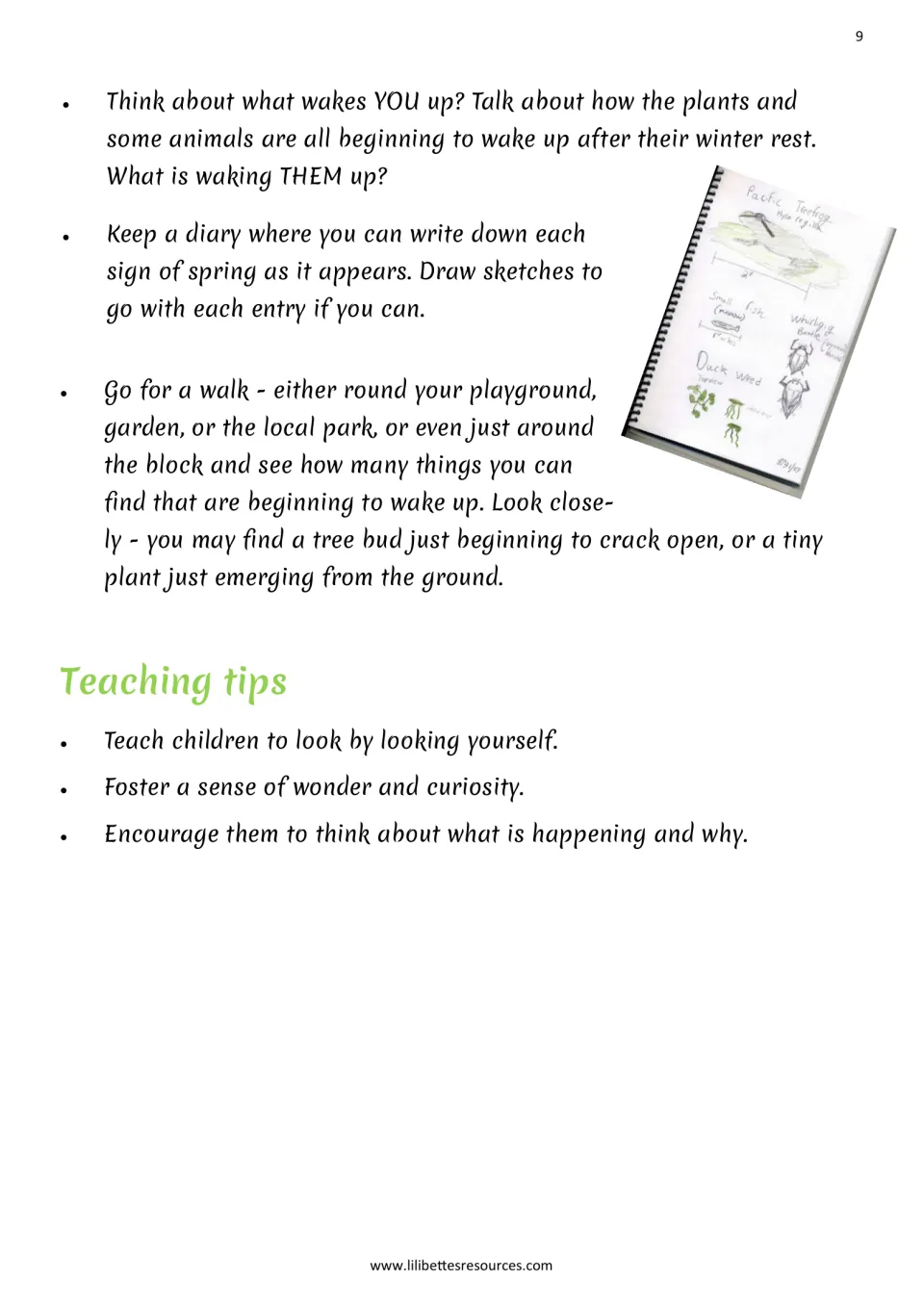 Waking up activities: discuss what wakes plants and animals, keep a diary of spring signs and walk to find new buds