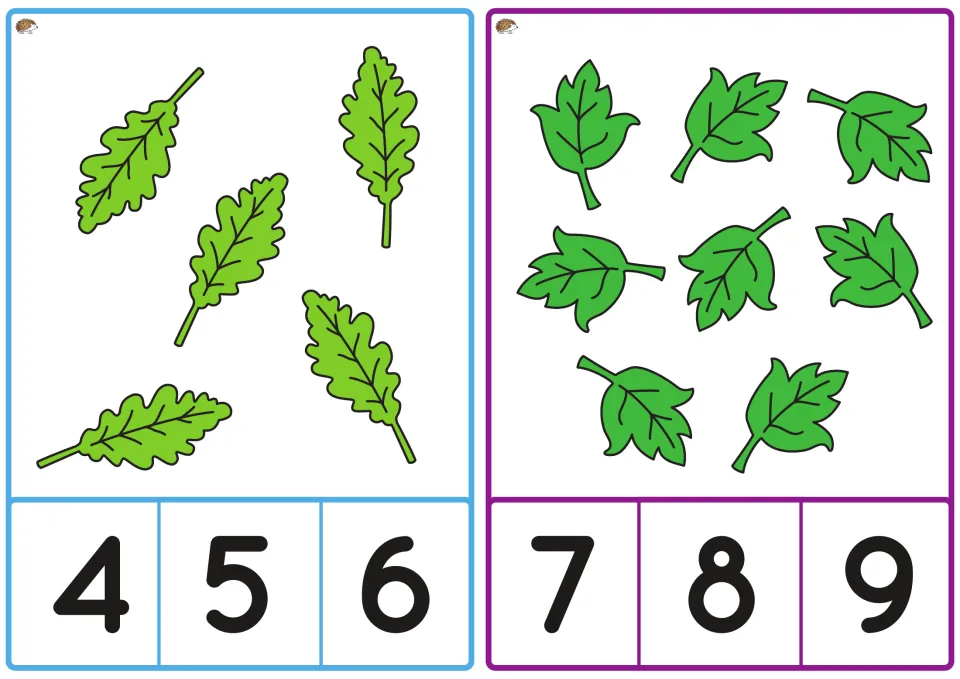 Spring counting cards show five narrow leaves with choices 4, 5, 6 and eight broad leaves with choices 7, 8, 9