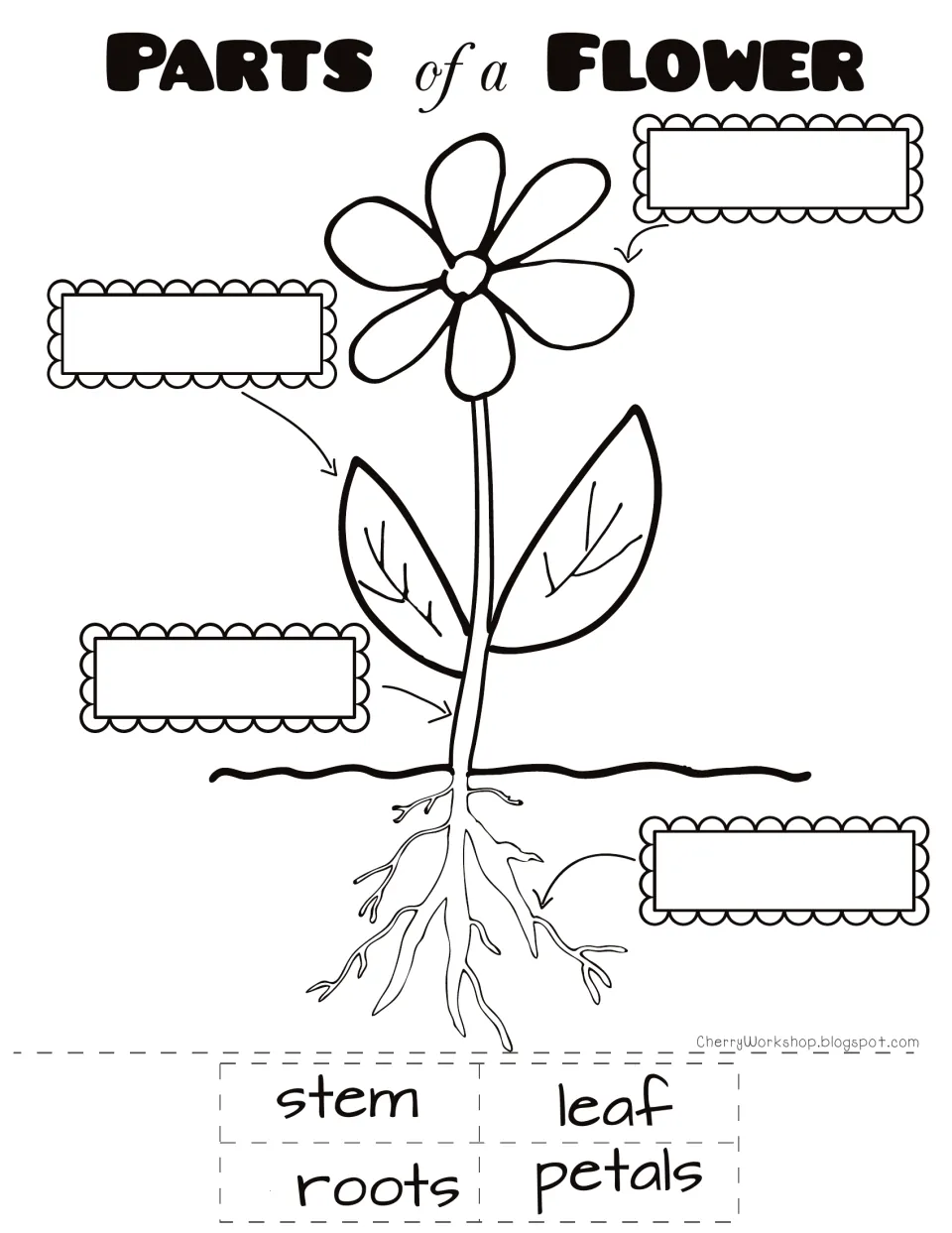 Flower labeling worksheet: match the cut-out words stem, leaf, roots, and petals to the parts of a flower.