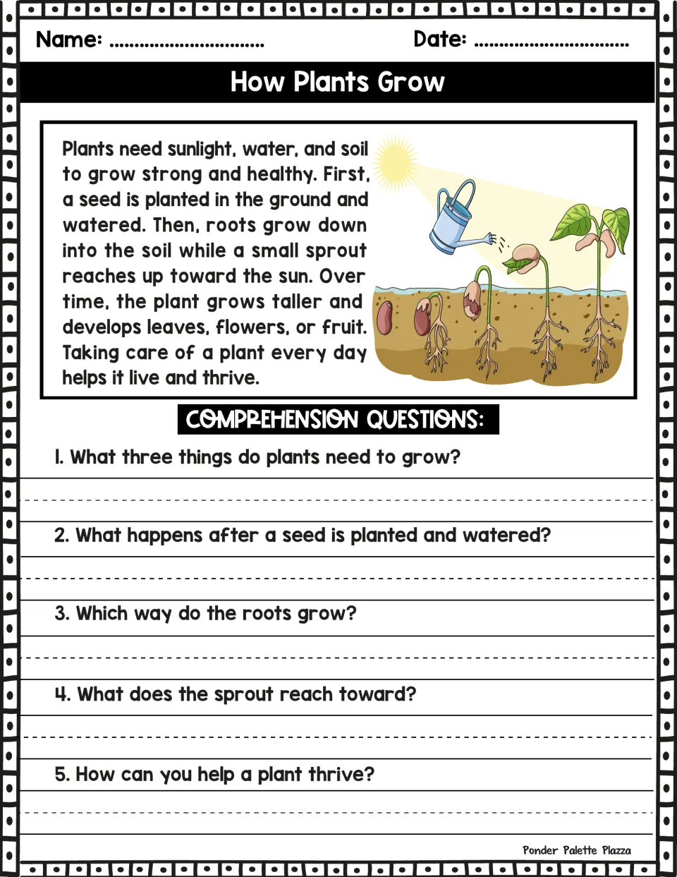 How Plants Grow reading passage and five questions about sunlight, water, soil, roots, sprouts, and plant care
