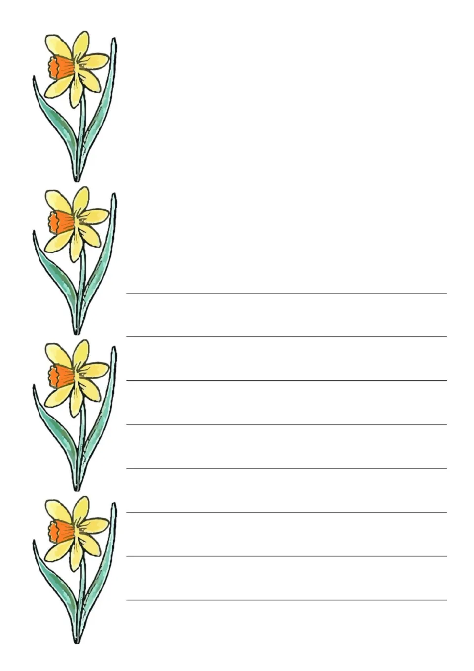 Daffodil draw-and-write page in color: four daffodils run down the left, with drawing space up top and 8 writing rows below