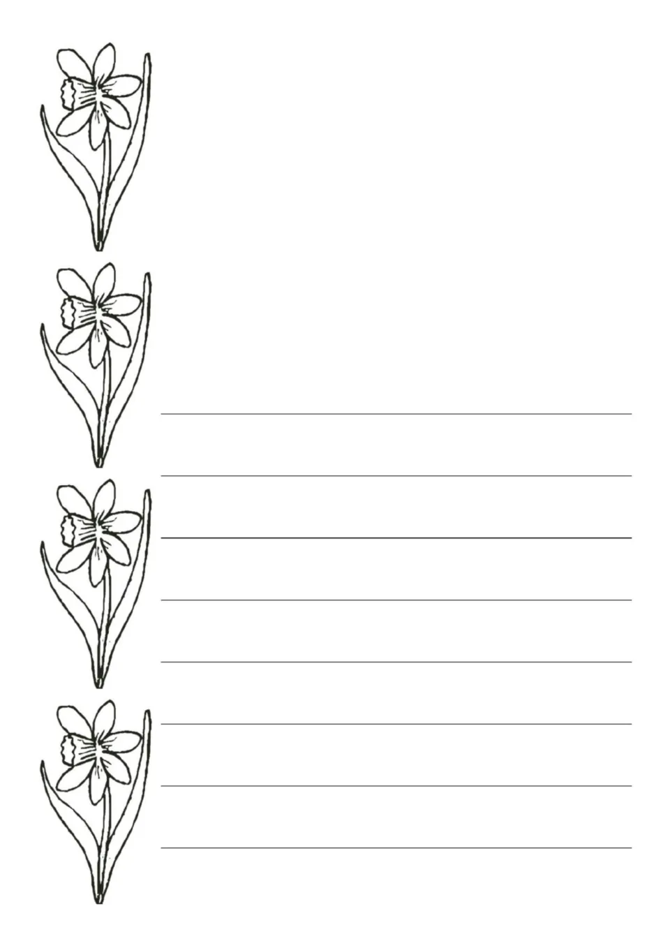 Black-and-white daffodil draw-and-write page: students color the four flowers, draw at the top and write on 8 rows below