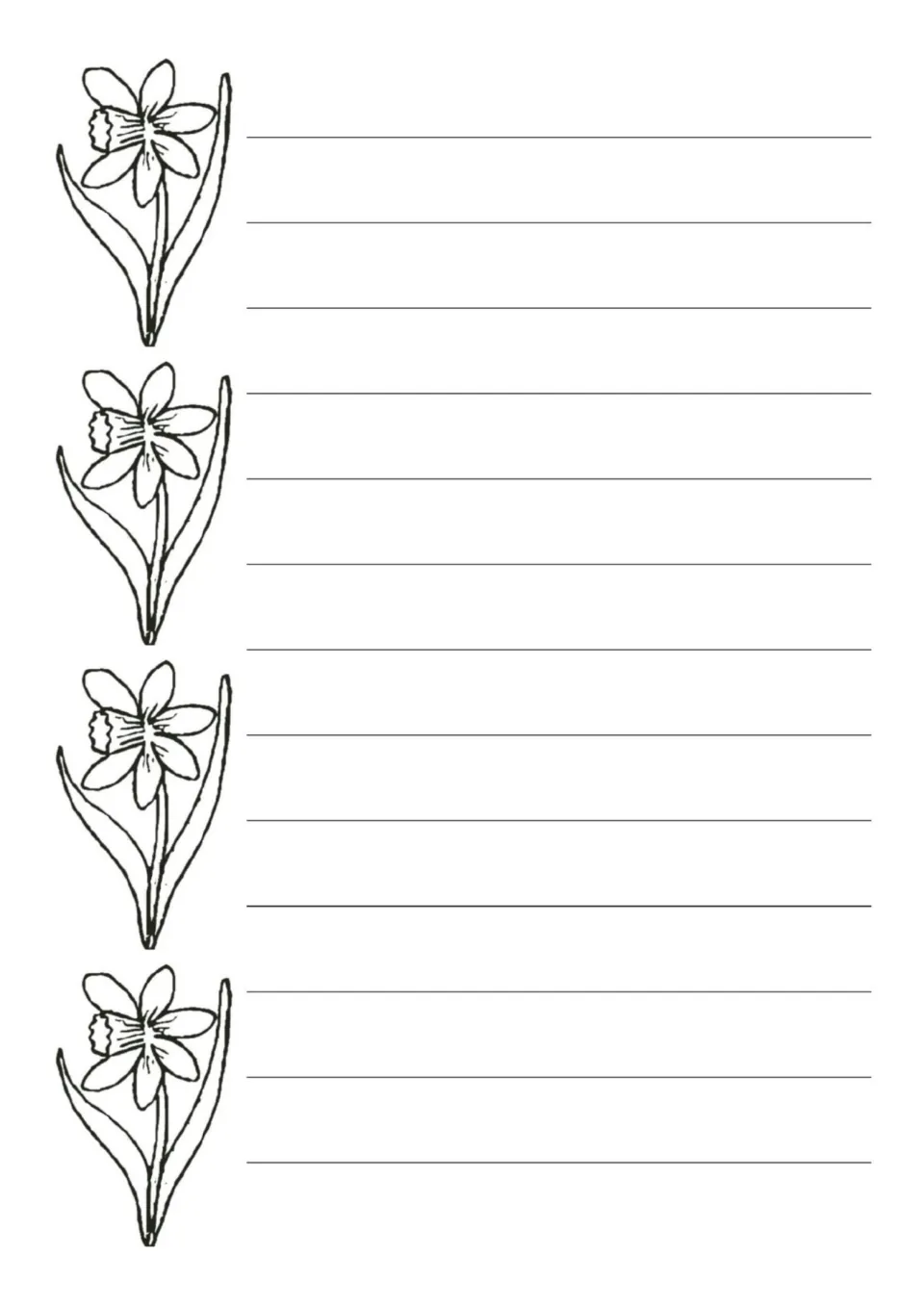 Outline daffodils to color run down the left of this full writing page with 13 rows for a longer spring piece