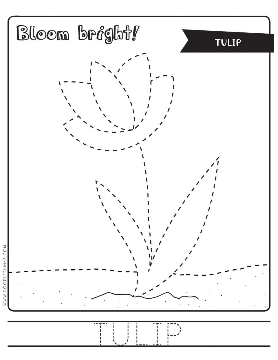 Tulip tracing: students trace a dashed tulip with petals, stem and leaves in soil, then trace the word TULIP and color
