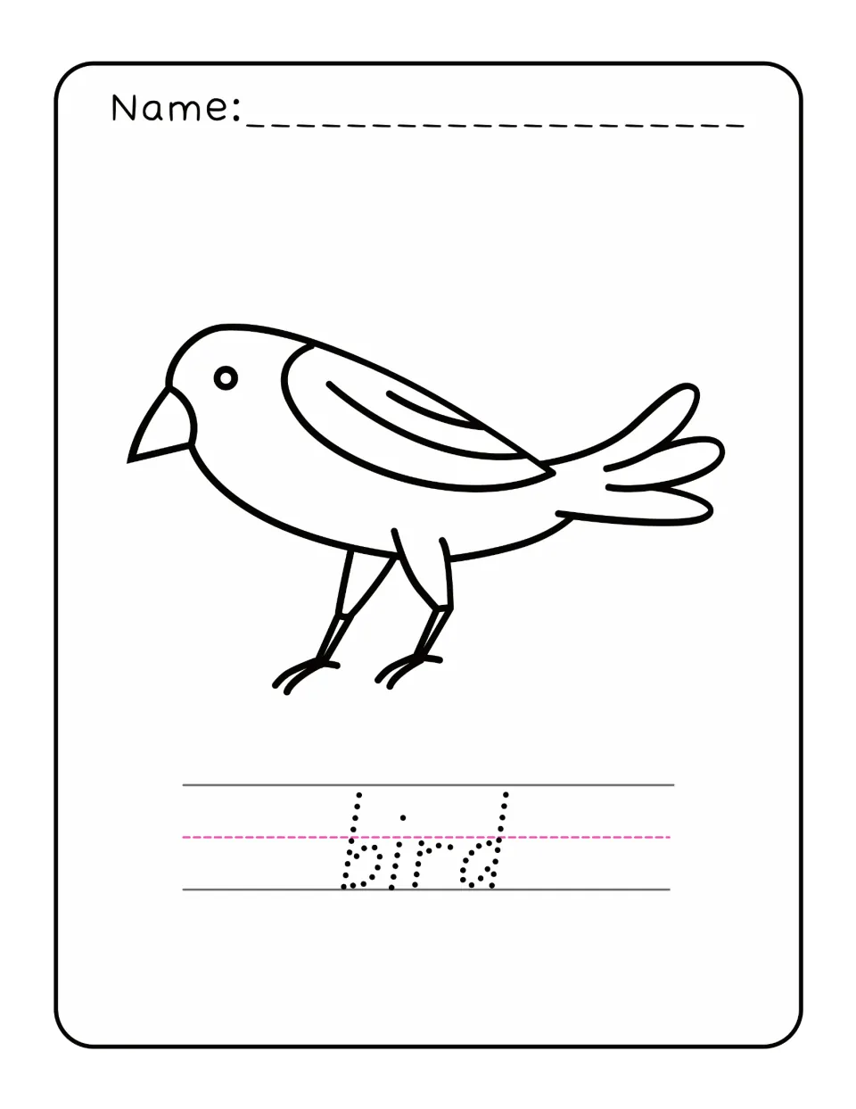 Spring word tracing and coloring practice featuring a bird outline and the lowercase word 'bird' to trace.