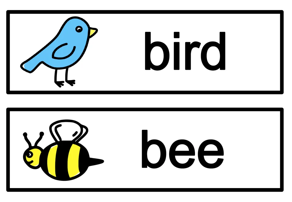Spring vocabulary cards 3–4 of eight: bird and bee, illustrated with a blue bird and a yellow-and-black bee