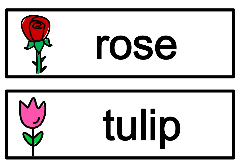 Spring vocabulary cards 7–8 of eight: rose and tulip, illustrated with a red rose and a pink tulip