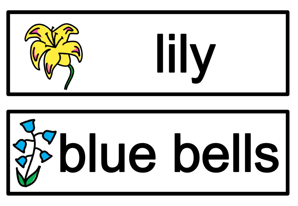 Spring flower word cards: lily and blue bells, each word printed large beside a matching picture for students to read
