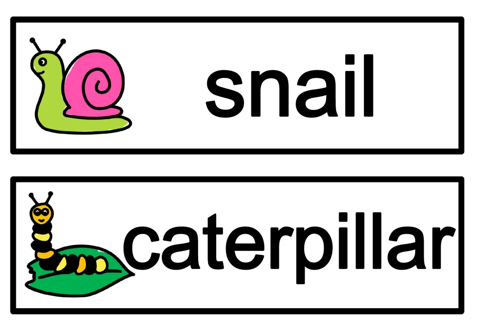 Spring creature word cards: snail and caterpillar printed in large type beside matching pictures to read and match