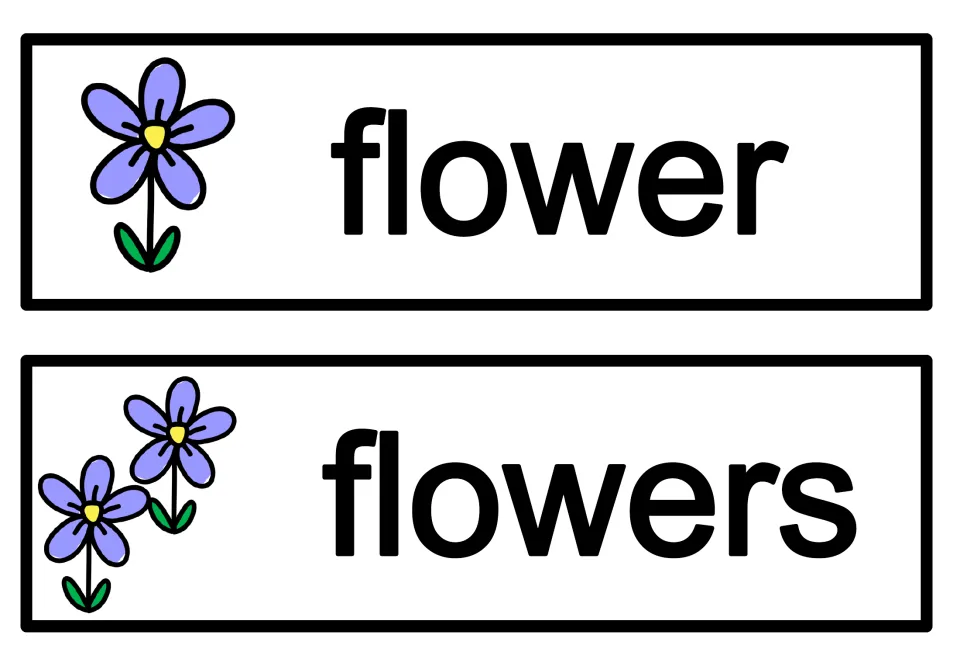 Singular and plural word cards: flower beside one flower picture and flowers beside two, for reading spring words