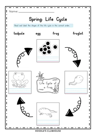 Spring Worksheets – Cut and Paste Activity Set – sample page 3