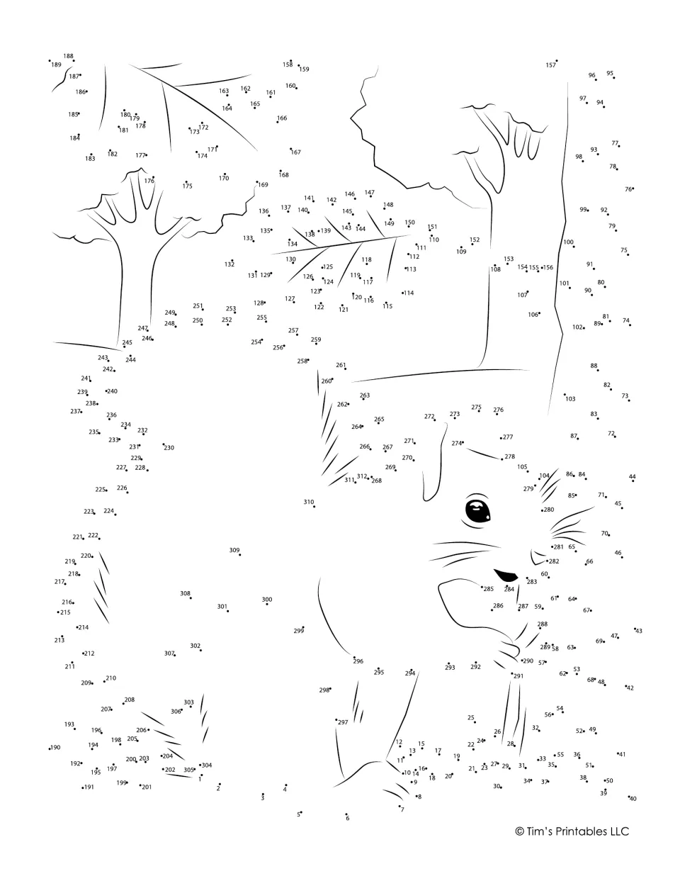 Squirrel dot-to-dot: students connect numbered dots 1 to 312 to finish a squirrel beside a tree trunk, grass and leaves
