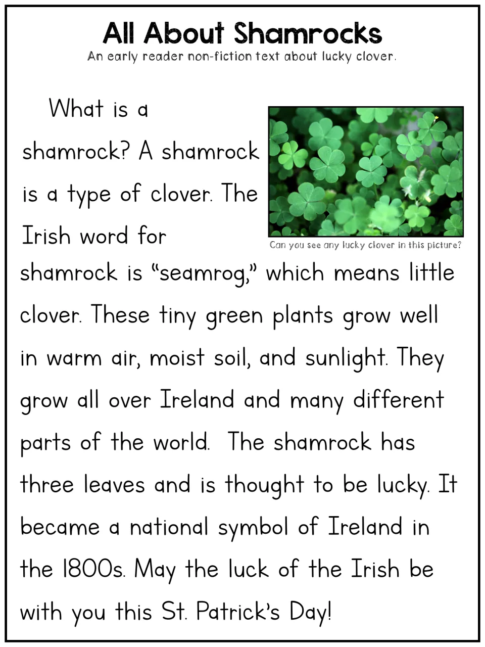 Early reader article 'All About Shamrocks' explains the plant's name, growing needs, and meaning in Ireland