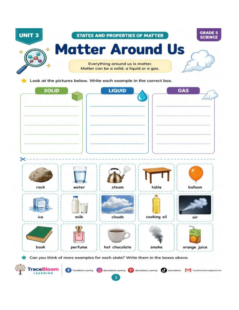 Matter Around Us activity sorting 15 pictured examples, including rock, water, and ice, by state of matter