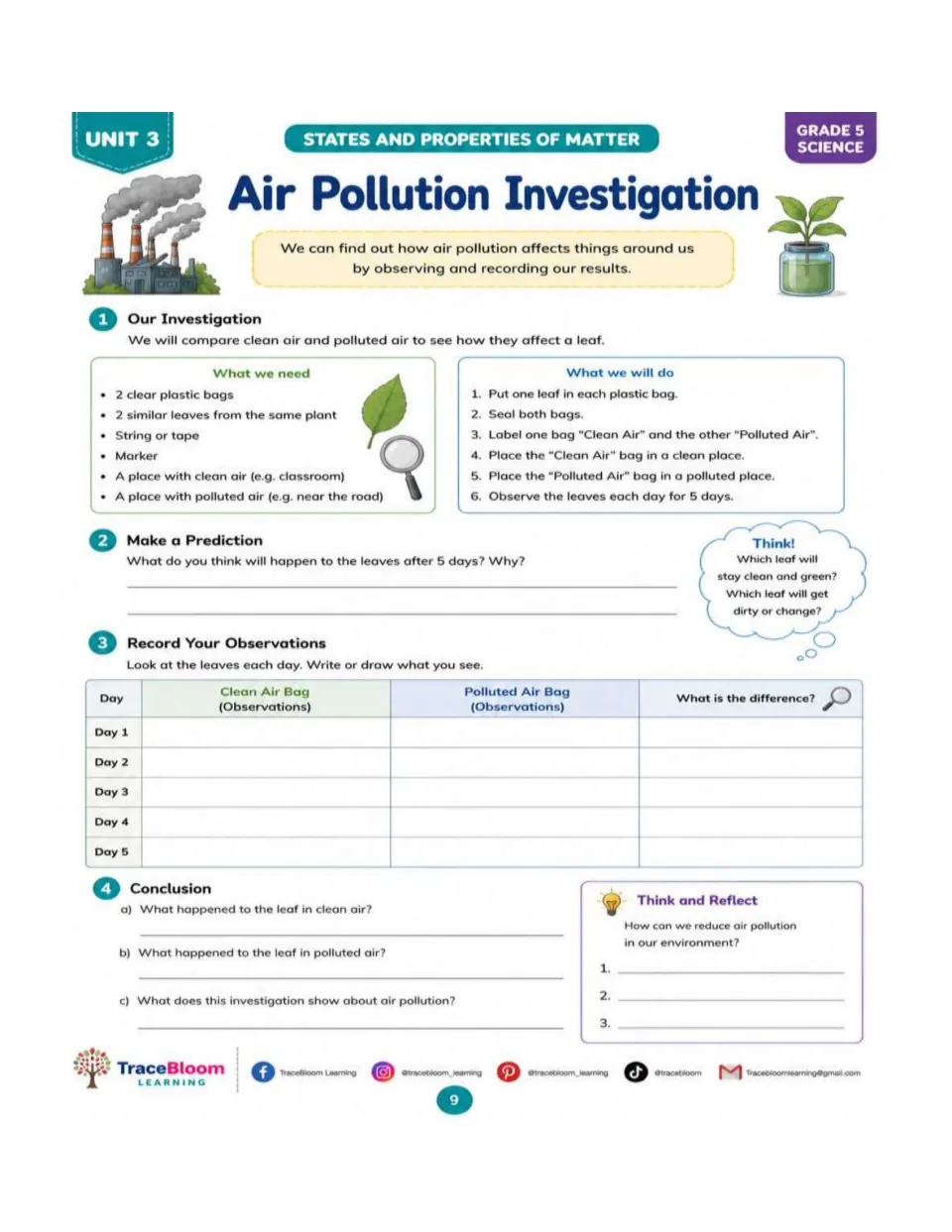 Air Pollution Investigation comparing leaves in two labeled bags through predictions and five days of observations