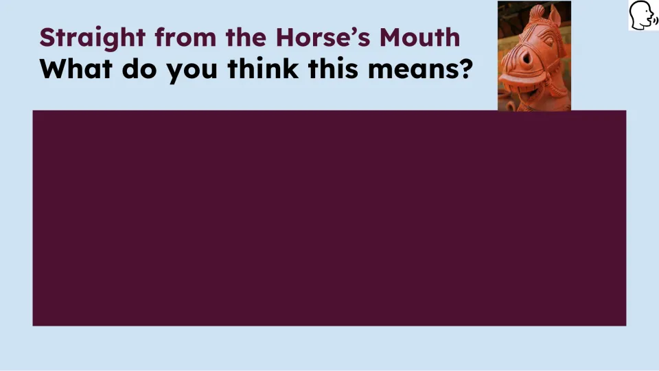 Opening idiom prompt asks, “What do you think this means?” and provides space for a student response