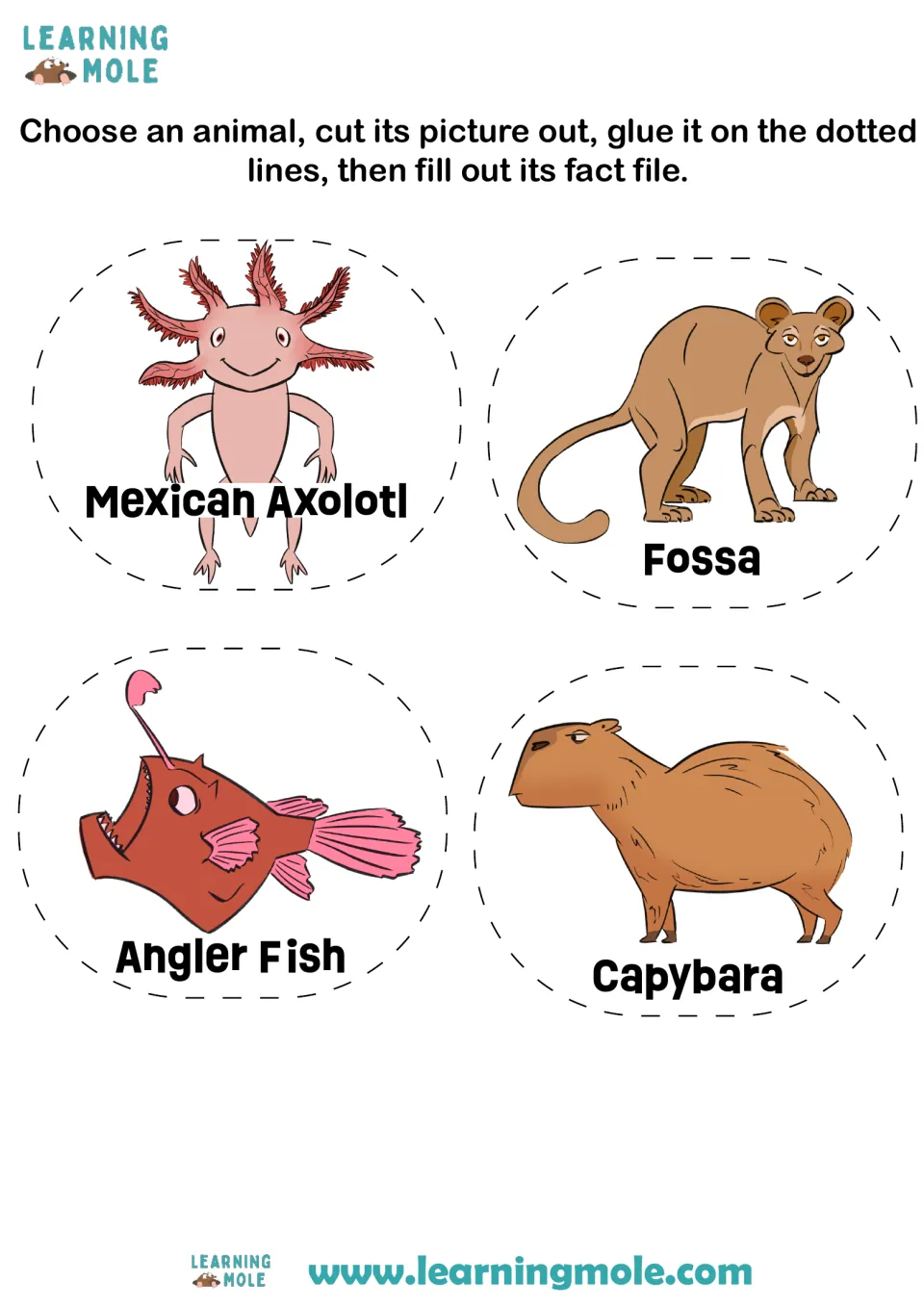 Animal cut-outs: students pick a Mexican axolotl, fossa, angler fish or capybara picture to glue onto their fact file