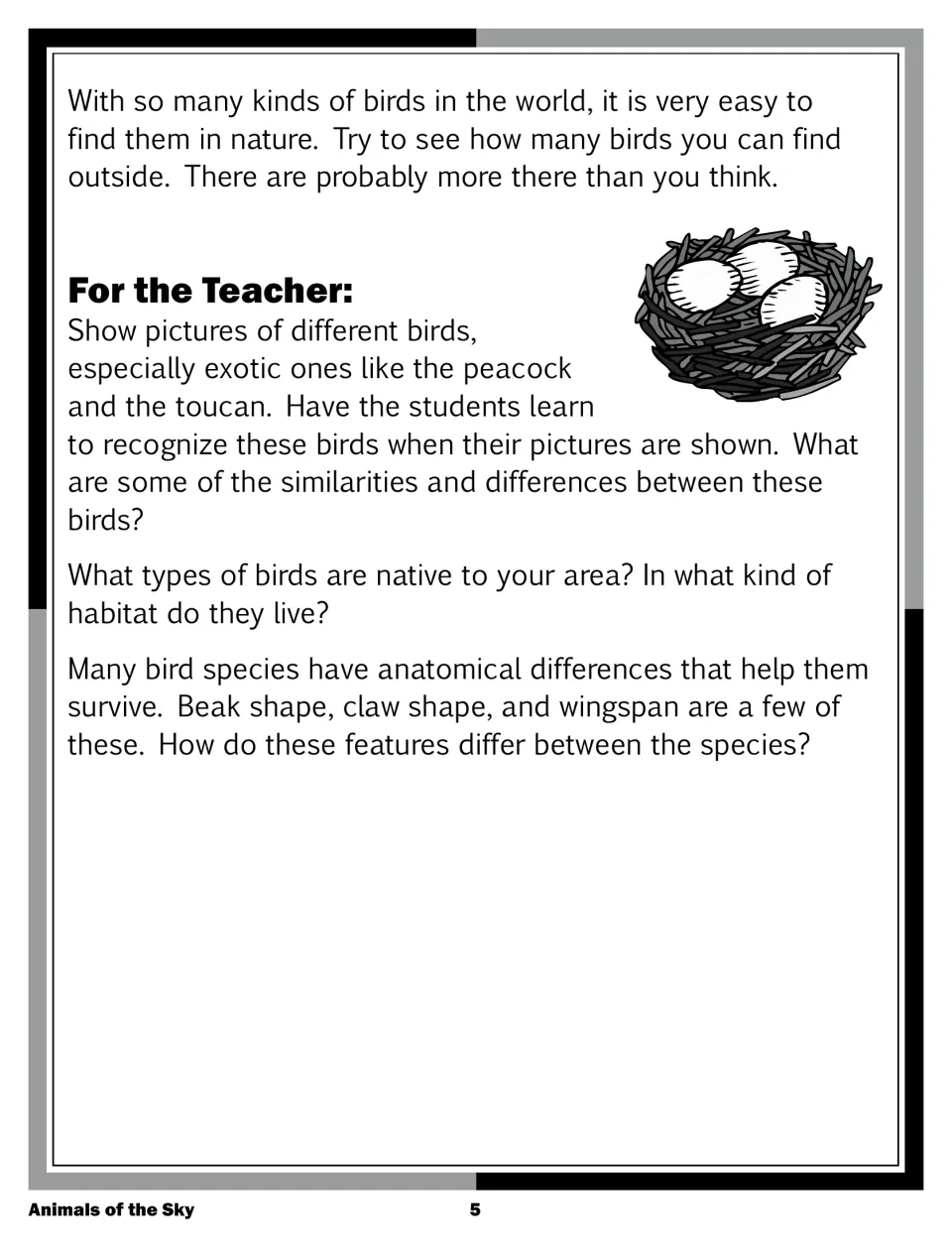 Birds article ending and For the Teacher notes: compare exotic birds, discuss local habitats and beak, claw and wingspan