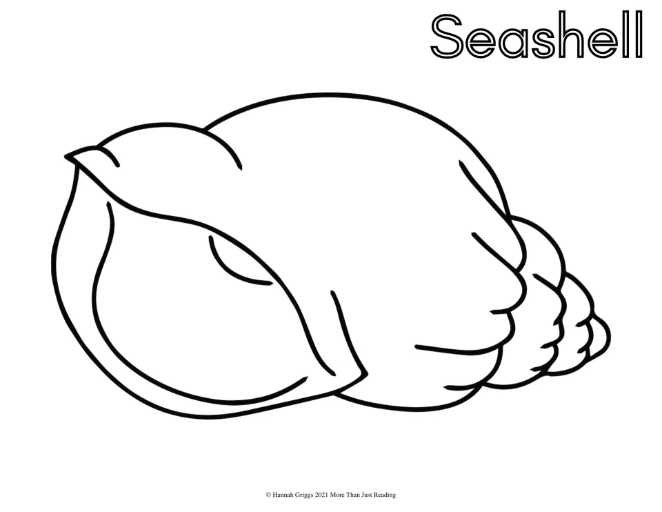 Seashell coloring page: students color a large conch-style seashell with a curled opening beneath the word Seashell