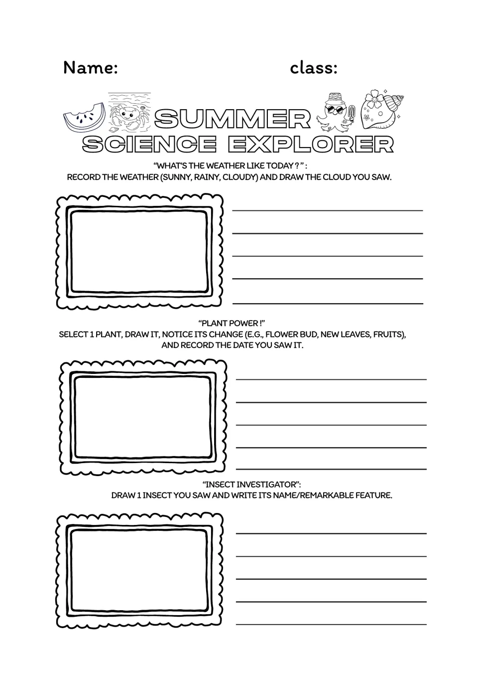 Summer Science Explorer: students record the weather, draw a plant's changes with the date, and sketch and name an insect