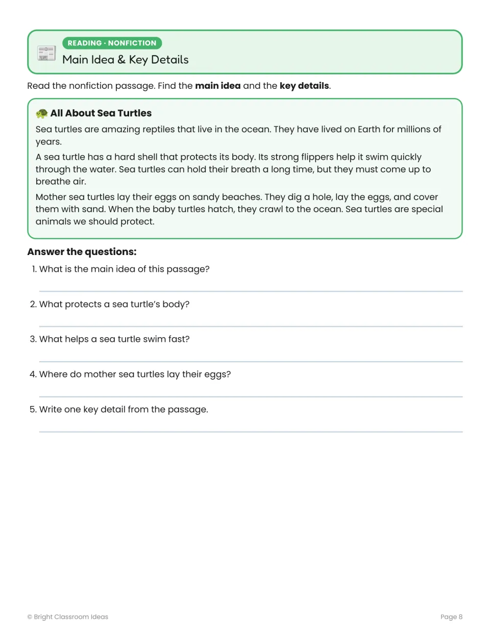 Nonfiction review: All About Sea Turtles introduces shells, flippers, and eggs, with five comprehension questions