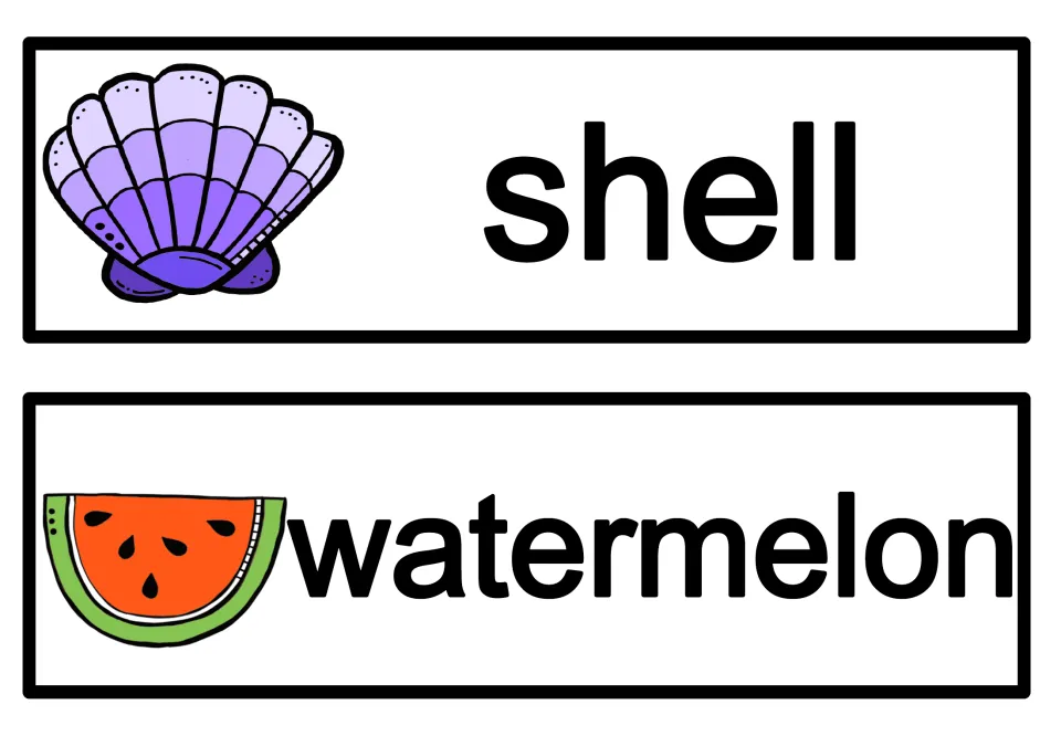 Word cards for shell and watermelon, illustrated with a purple scallop shell and a red slice of watermelon with seeds