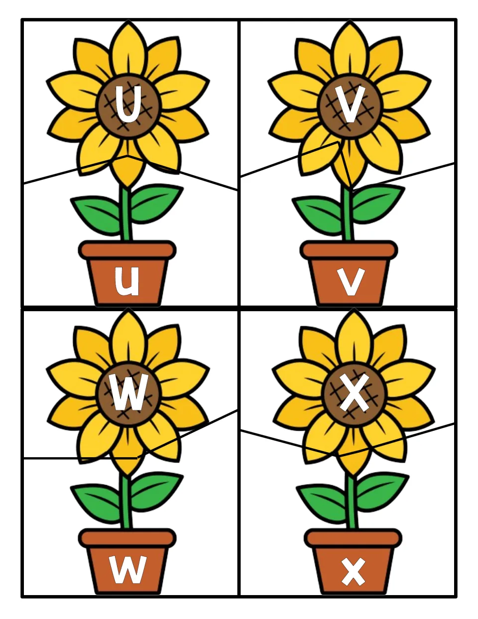 U, V, W and X letter pairs: learners connect each sunflower bloom bearing a capital to its pot with lowercase u, v, w, x