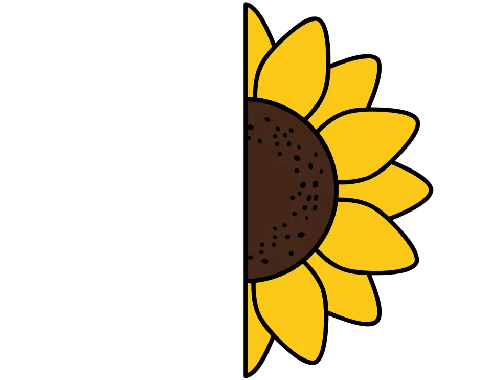 Color sunflower cut-out piece: right half of a flower head with yellow petals and a brown seed center, to cut and glue