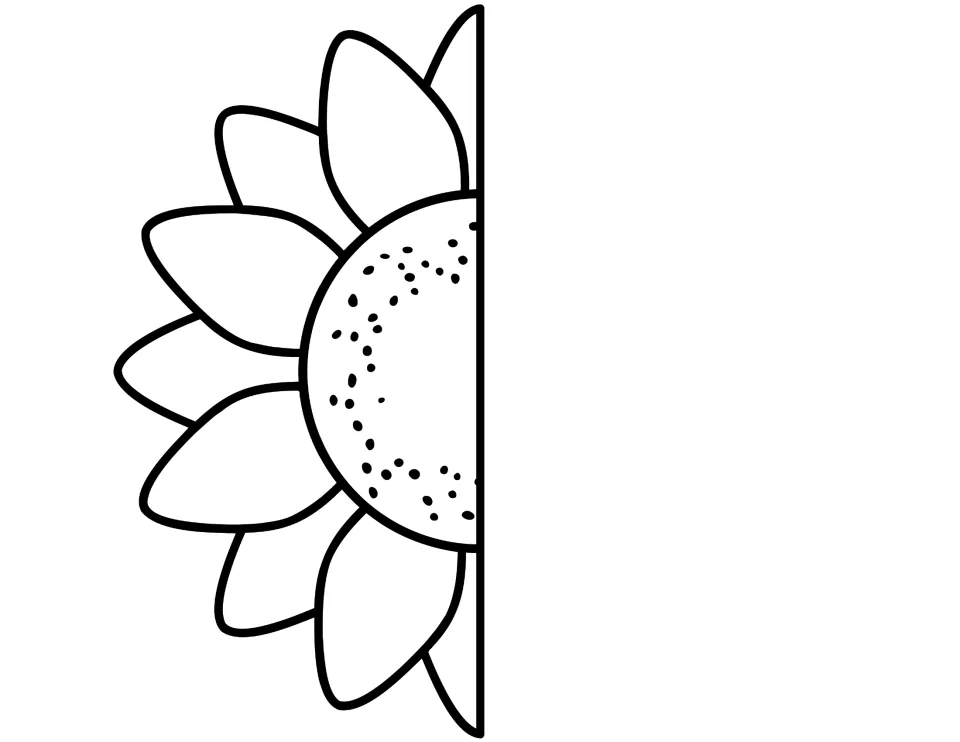 Black-and-white sunflower half: left side of the petals and dotted center, a cut-out piece students color
