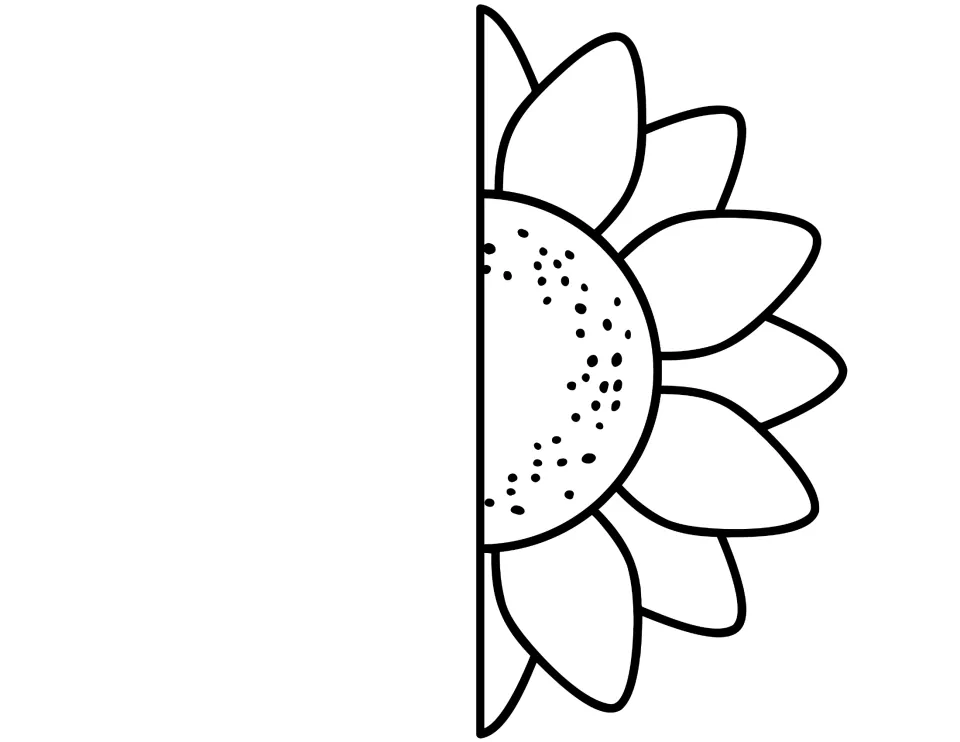 Outline sunflower, right half: petals and seed center for students to color and cut, matching the left blackline half