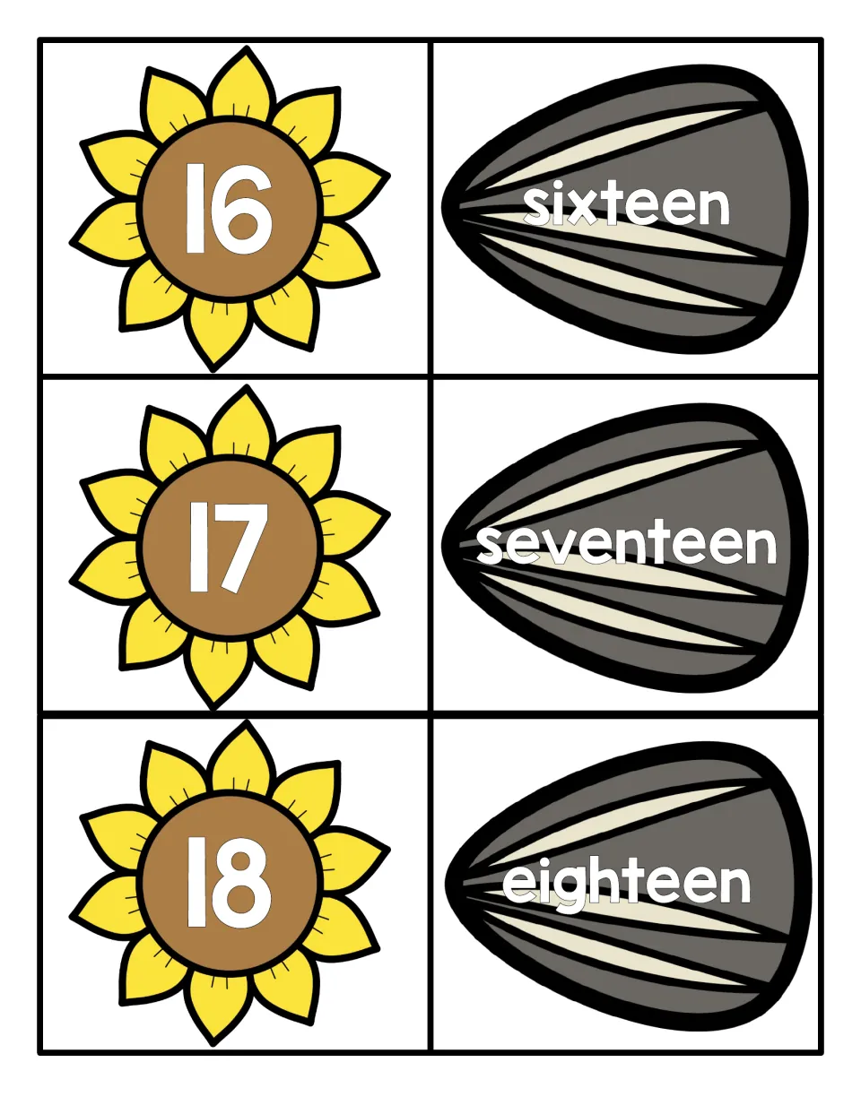 Teen numbers 16 to 18: flowers showing numerals 16, 17, 18 beside seeds spelling sixteen, seventeen and eighteen to match
