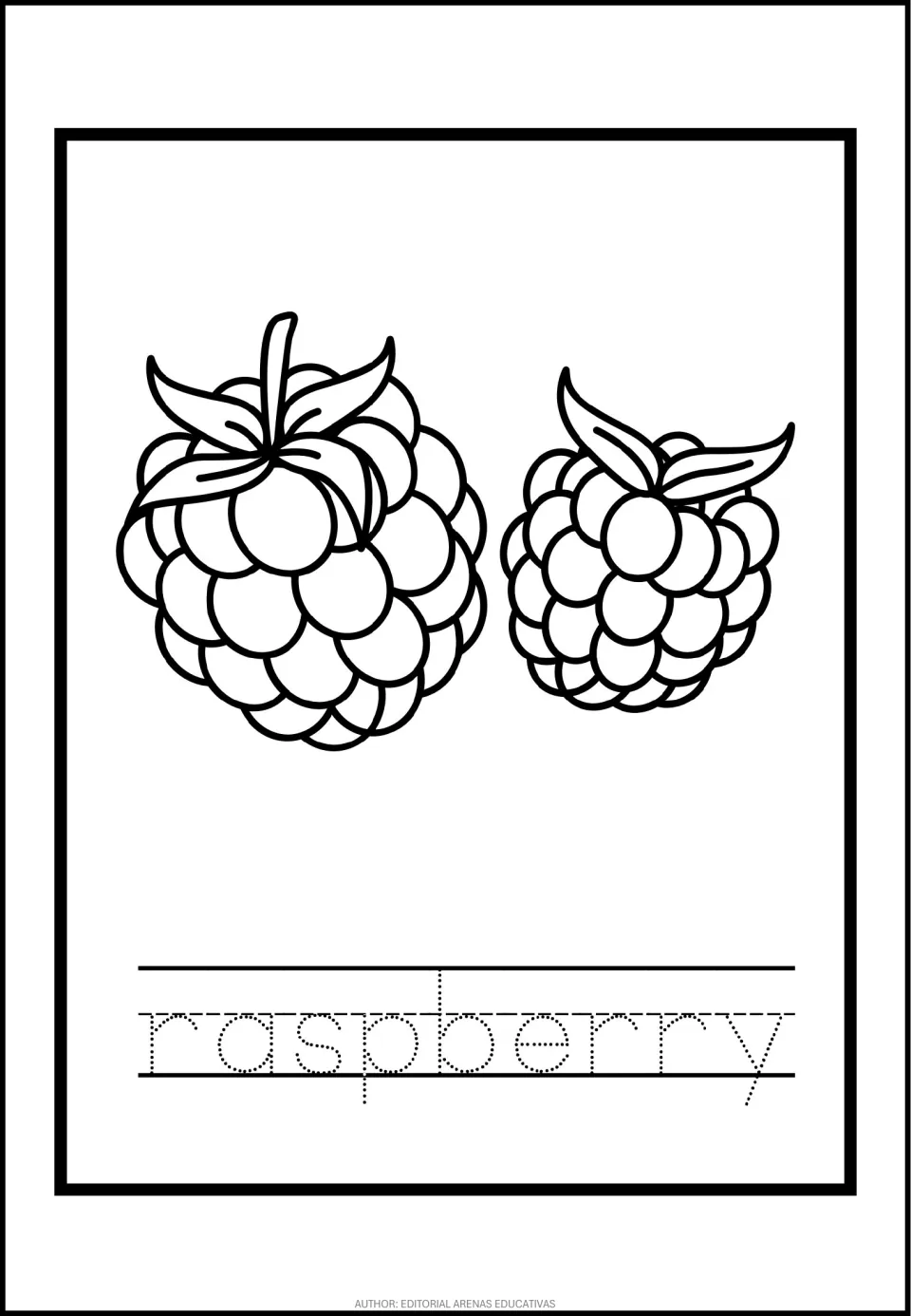 Raspberry coloring and tracing: students color two berries with leaves, then trace the dotted nine-letter word