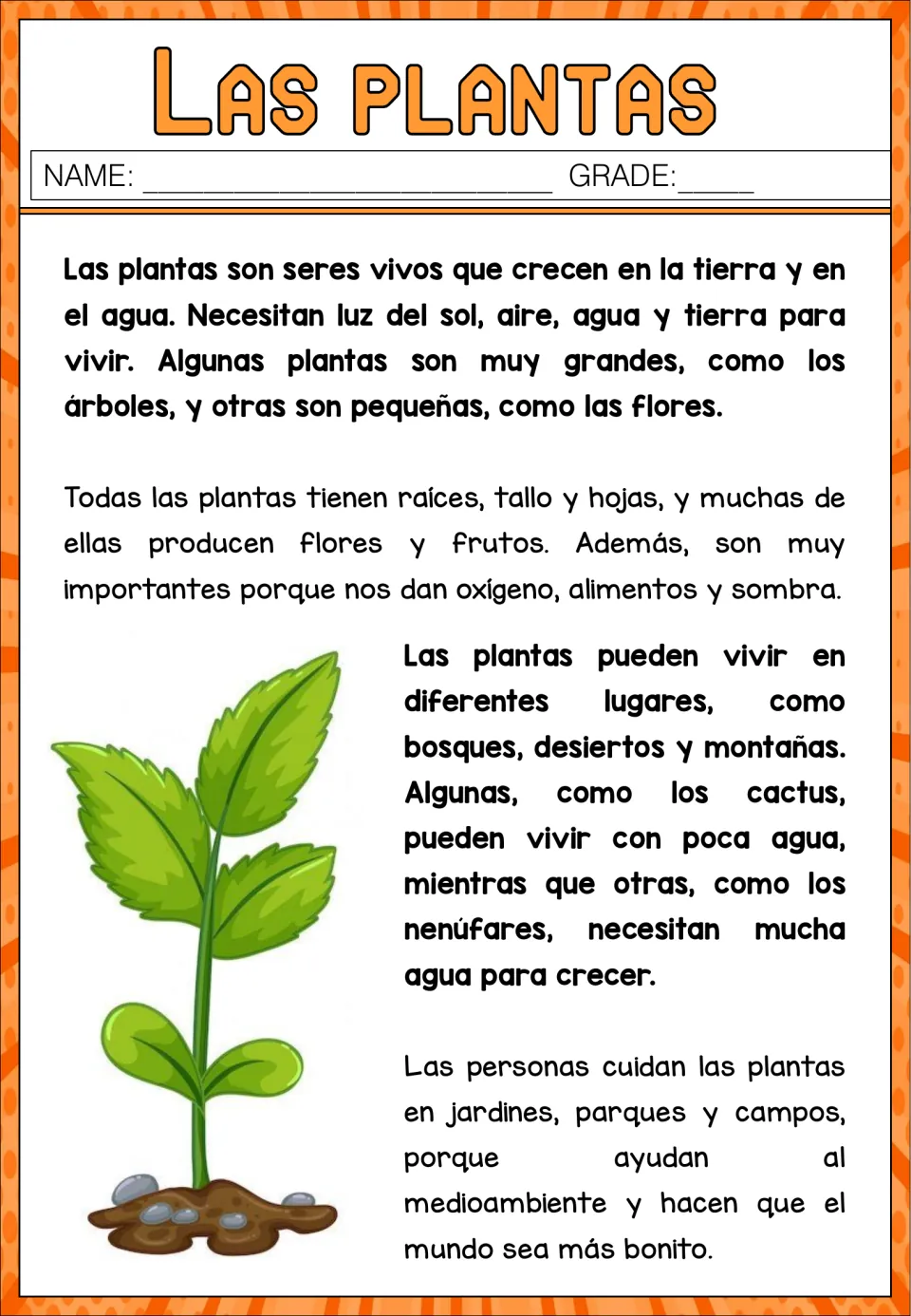 Las plantas reading passage in Spanish: students read about plant needs, parts, habitats and why plants matter