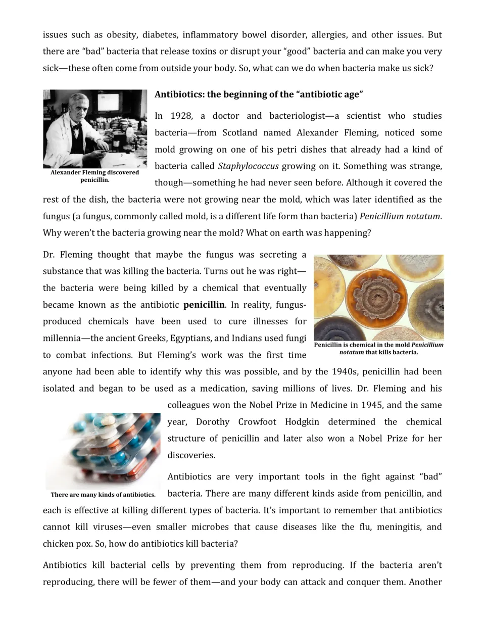 Article part 2 explains Alexander Fleming's discovery of penicillin and how antibiotics act against bacteria.