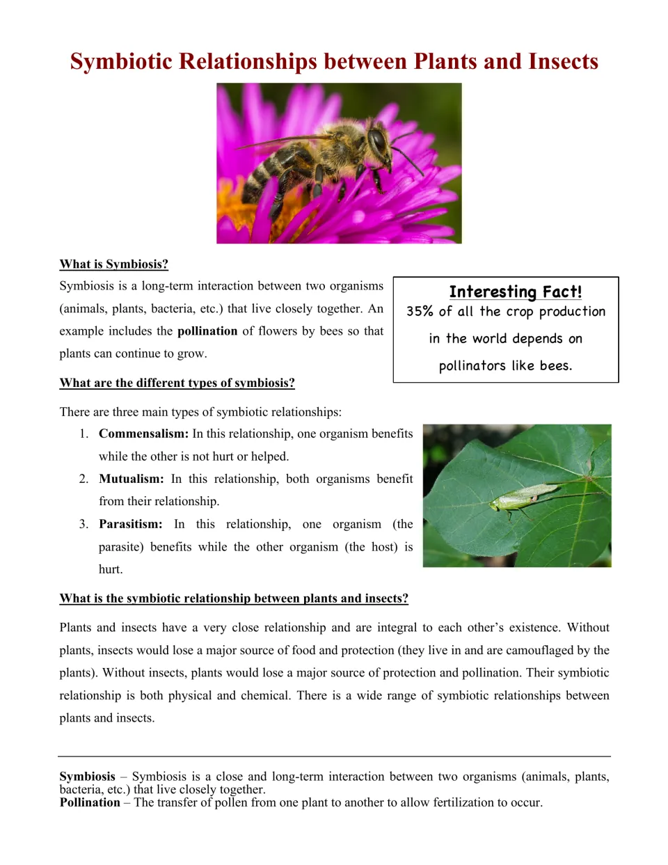 Reading part 1: symbiosis, commensalism, mutualism, parasitism, and the roles of plants and insects