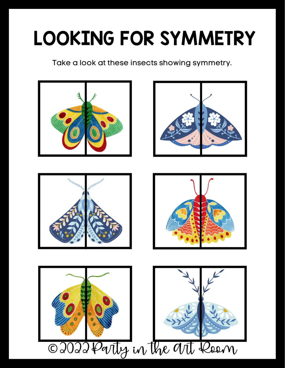 Looking for symmetry: students study six colorful moths, each split down the middle by a line of symmetry