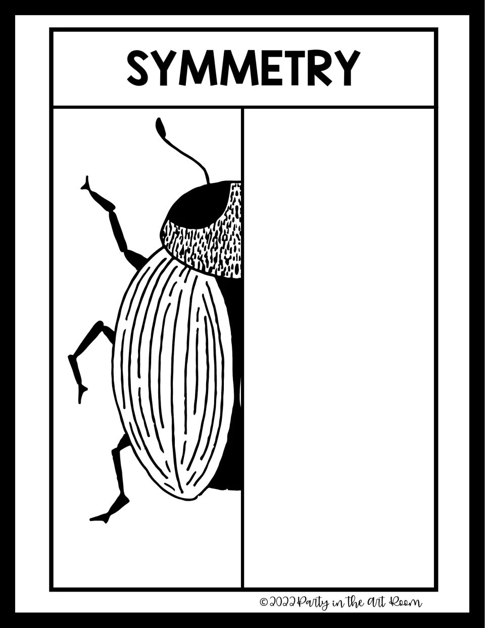 Symmetry drawing: left half of a beetle with a striped wing case; students draw the right half as a mirror image