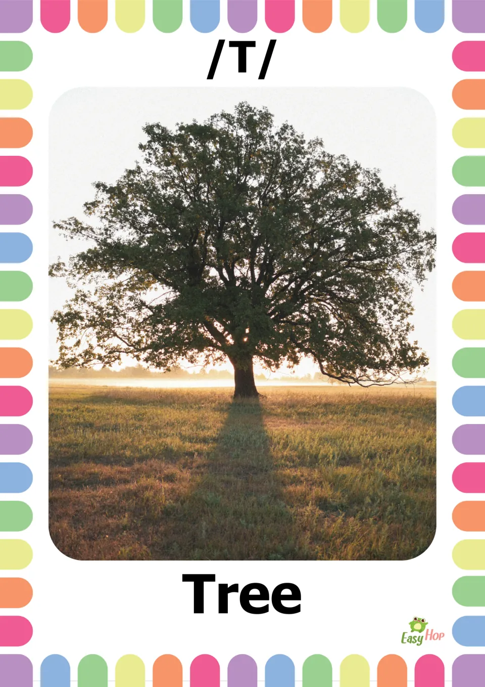 Vocabulary flashcard 8 of 20: /T/ and Tree, with a photograph of a large tree casting a shadow across a field