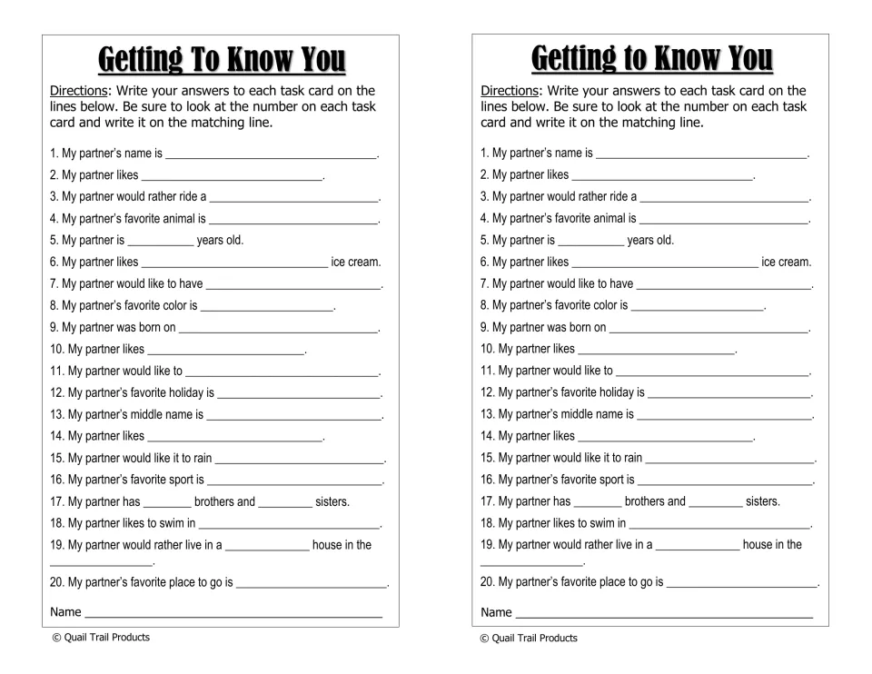Getting to Know You recording sheet: students complete 20 sentence frames like 'My partner's name is' to match each card